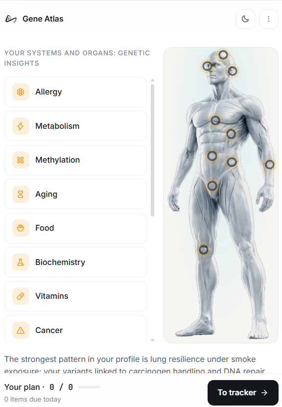 Your Personalized Performance Insights